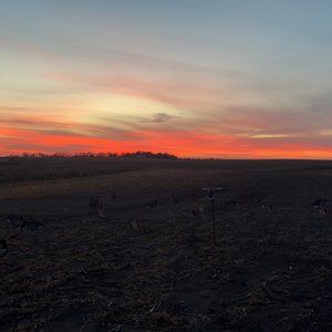 Meet your Posher, Conner